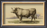 Antique Cow I Prints by Julian Bien