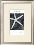 Explore Print by Deborah Van Swearingen