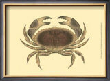 Antique Crab IV Print by James Sowerby
