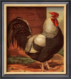 Rose-Combed Dorking Cock Print by Cassell's Poultry Book 