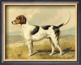 Fox Hound Posters by Vero Shaw