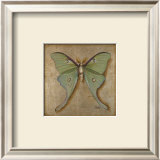 Luna Moth Art by Patricia Quintero-Pinto