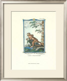 Monkey, Samiri Posters by Thomas Bell