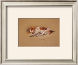 Judy, a Spaniel Puppy Poster by Mac 