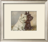 Scotch Terriers Prints by Mac 
