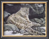 Awake Snow Leopard Prints by Alan Sakhavarz