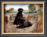 Change of Seasons Prints by Mark Polomchak