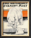 Polar Bears, c.1919 Framed Giclee Print by Charles Livingston Bull