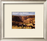 Canyon Mustangs Poster by John Leone