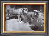 Retrieving The Ball Prints