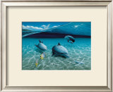 The Chase, Maui Dolphins Prints by Mark Mackay