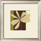 Taupe Flower Burst Posters por Debbie Halliday Taupe Flower Burst Posters por Debbie Halliday