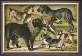 Dog Breeds III Prints by Henry J. Johnson