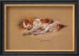 Judy, a Spaniel Puppy Posters by Mac 