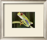 Yoo-Hoo Print by Linda Lord