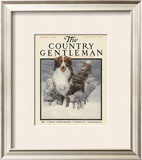 Herding Sheep, c.1916 Framed Giclee Print by Charles Livingston Bull
