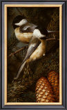 Chickadees Posters by Carl Brenders