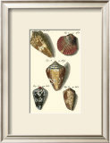 Neptune's Treasure I Posters by Kruger 