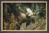 Calm Before the Challenge Prints by Carl Brenders