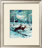 Deer, Winter Prints by Jeff Tift