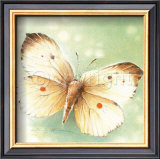 Anthocharis Prints by Arkadiusz Warminski
