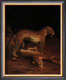 Two Leopards Playing in the Exeter Change Menagerie, c.1808 Poster by Jacques-Laurent Agasse