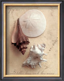 Seaside Collection II Poster by Heather Johnston