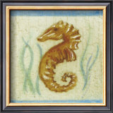 Seahorse Posters by Jose Gomez