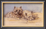 Close Companions Art by Mac 