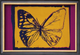 Vanishing Animals: Butterfly, c.1986 (Yellow on Purple) Poster by Andy Warhol
