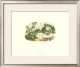 Pair of Frogs II Prints by J. W. Wood