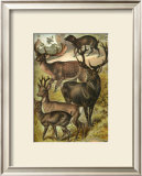 Deer Art by Henry J. Johnson