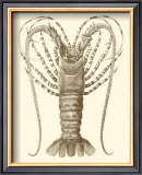 Sepia Lobster I Posters