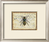 Bumblebee Harmony I Prints