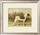 Pointer Prints by Vero Shaw