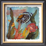 Tropical Fish I V Prints by Linn Done