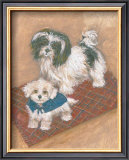 Kyo Leo Maltese Art by Carol Ican