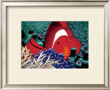 Clown Fish Posters by Mark Mackay