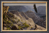 Bald Eagle over Canyon de Chelley Prints by Dino Paravano