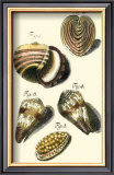 Neptune's Treasure II Prints by Kruger 