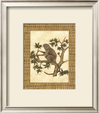 Monkey in a Tree II Posters by Dianne Krumel