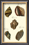 Neptune's Treasure IV Prints by Kruger 