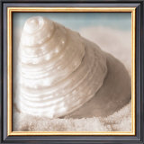Treasures of the Sea IV Prints by Christine E.