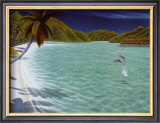 Trunk Bay Print by Dan Mackin
