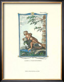 Monkey, Samiri Posters by Thomas Bell