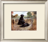 Change of Seasons Prints by Mark Polomchak