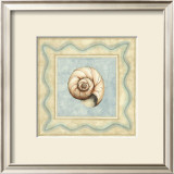 Shell Collector II Print by Meagher 