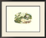 Pair of Frogs II Posters by J. W. Wood