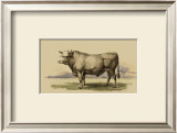 Antique Cow I Prints by Julian Bien