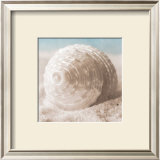 Treasures of the Sea III Posters by Christine E.